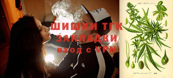 трава Вязьма