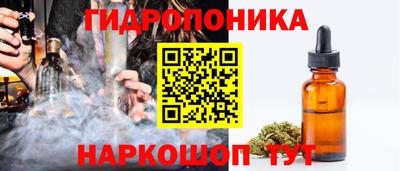 шишки Балаково