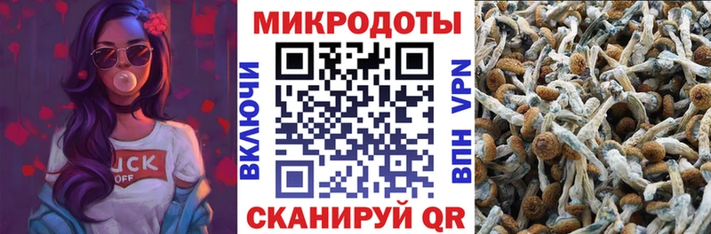 Псилоцибиновые грибы прущие грибы  KRAKEN зеркало  Елец 