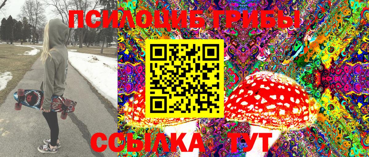 Елец  Псилоцибиновые грибы Magic Shrooms  Вход с VPN 